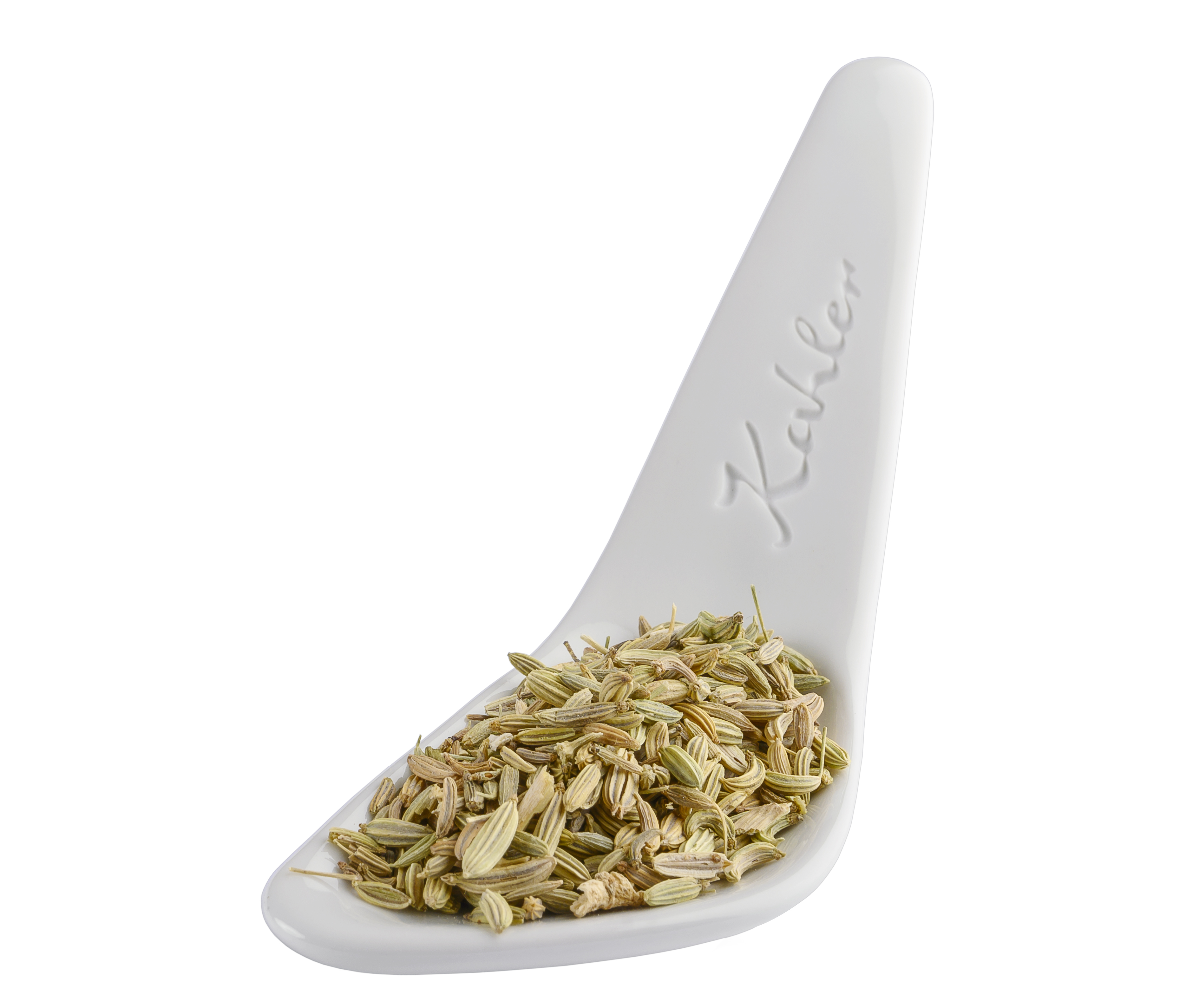 Fenchel ganz Fenchel ganz