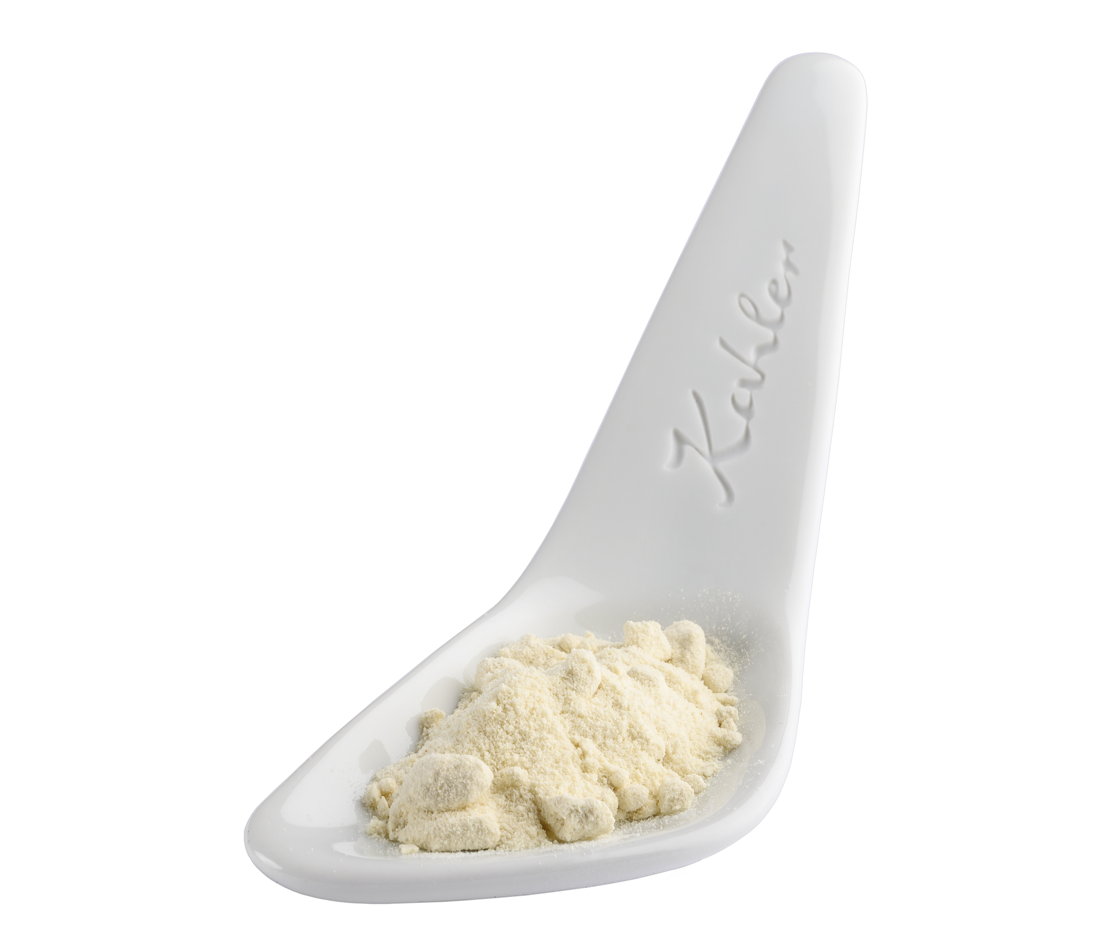 Zwiebelpulver Zwiebelpulver